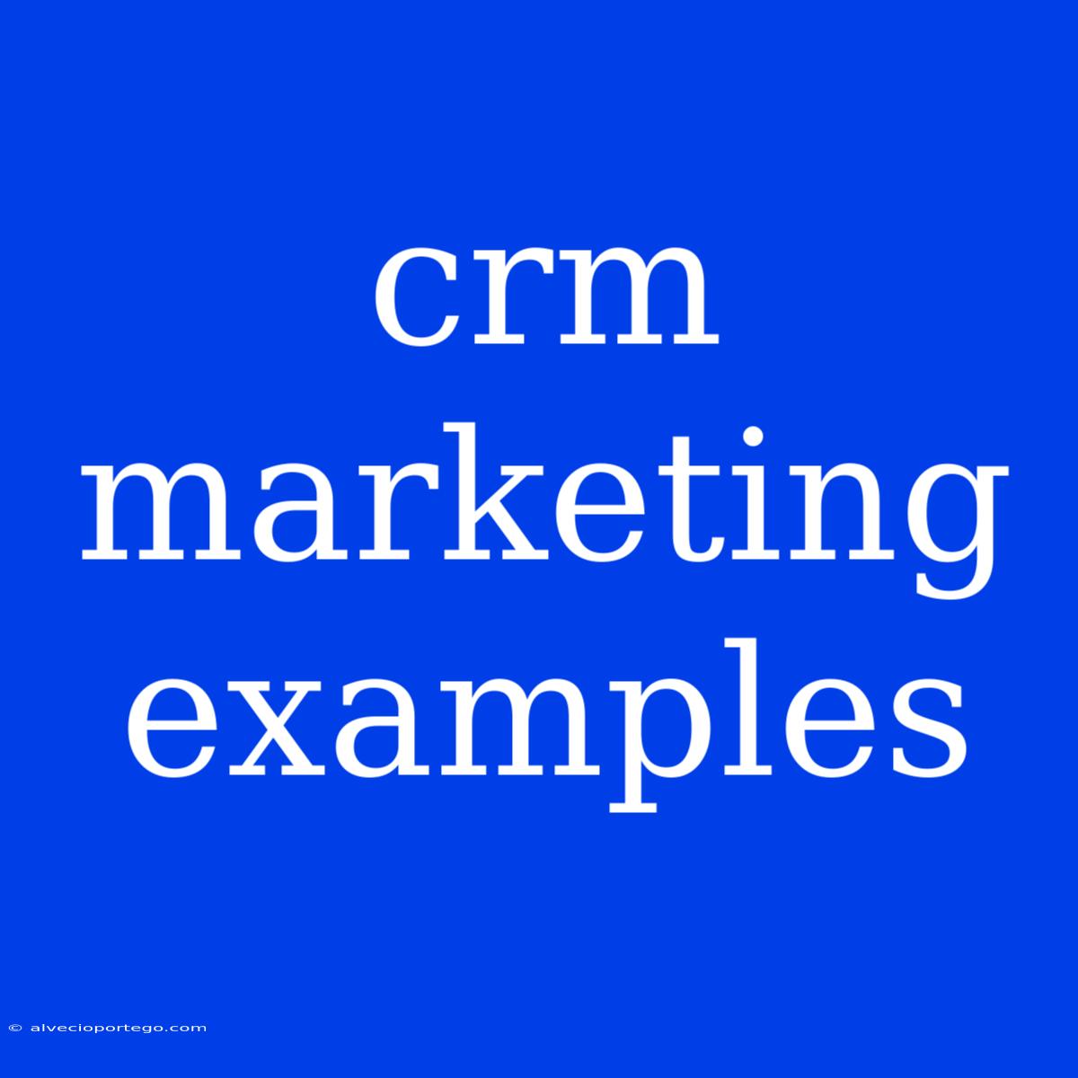 Crm Marketing Examples