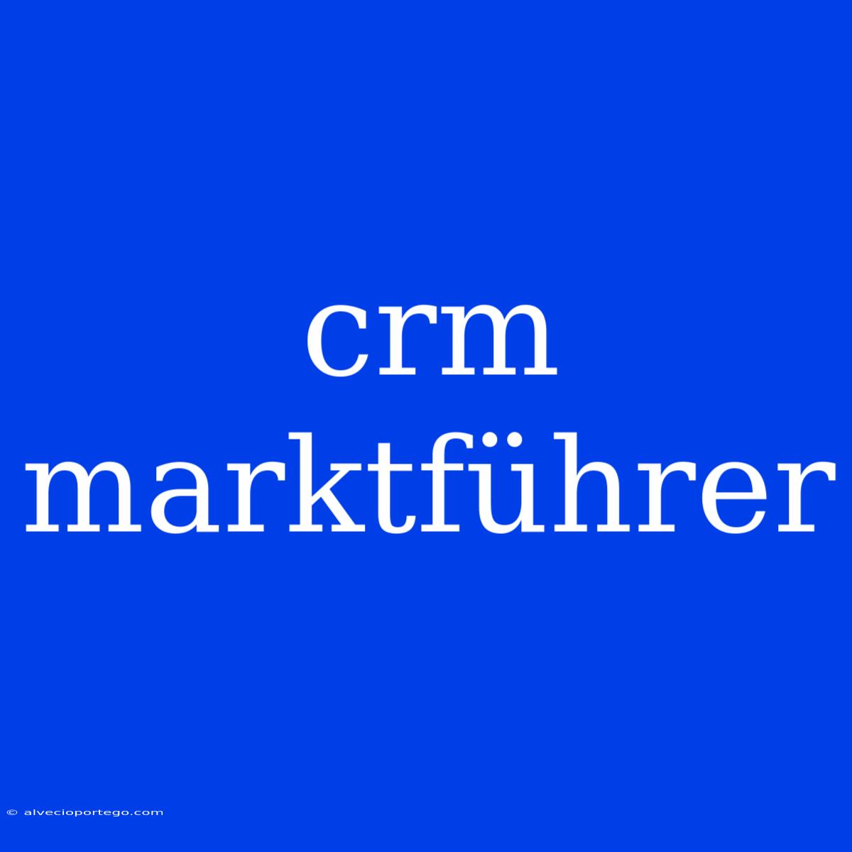 Crm Marktführer