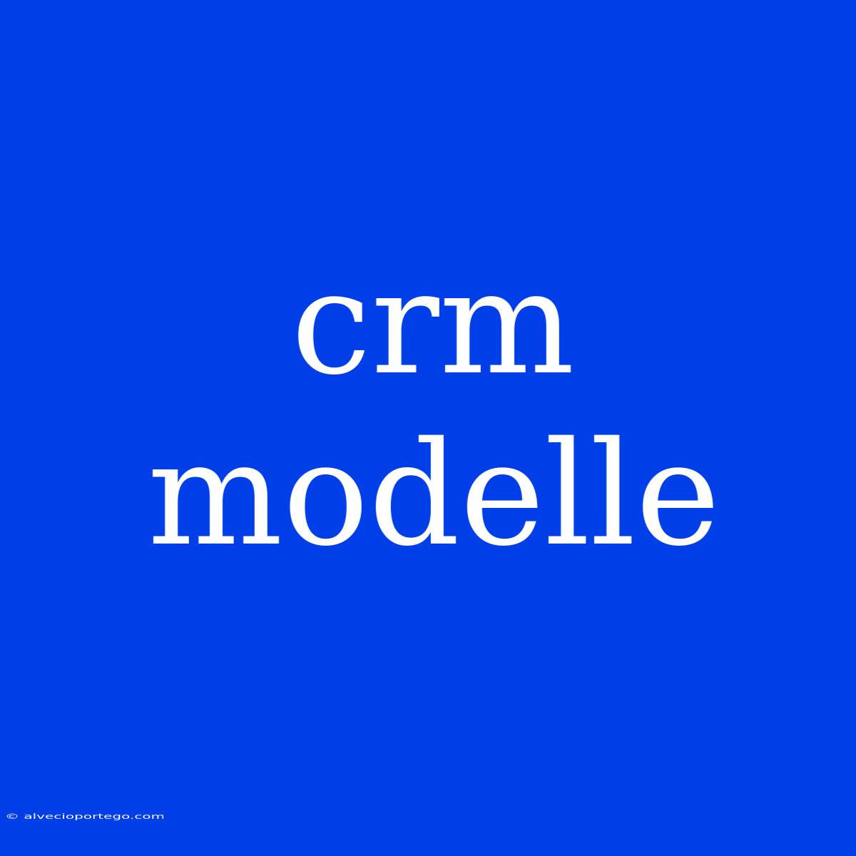 Crm Modelle