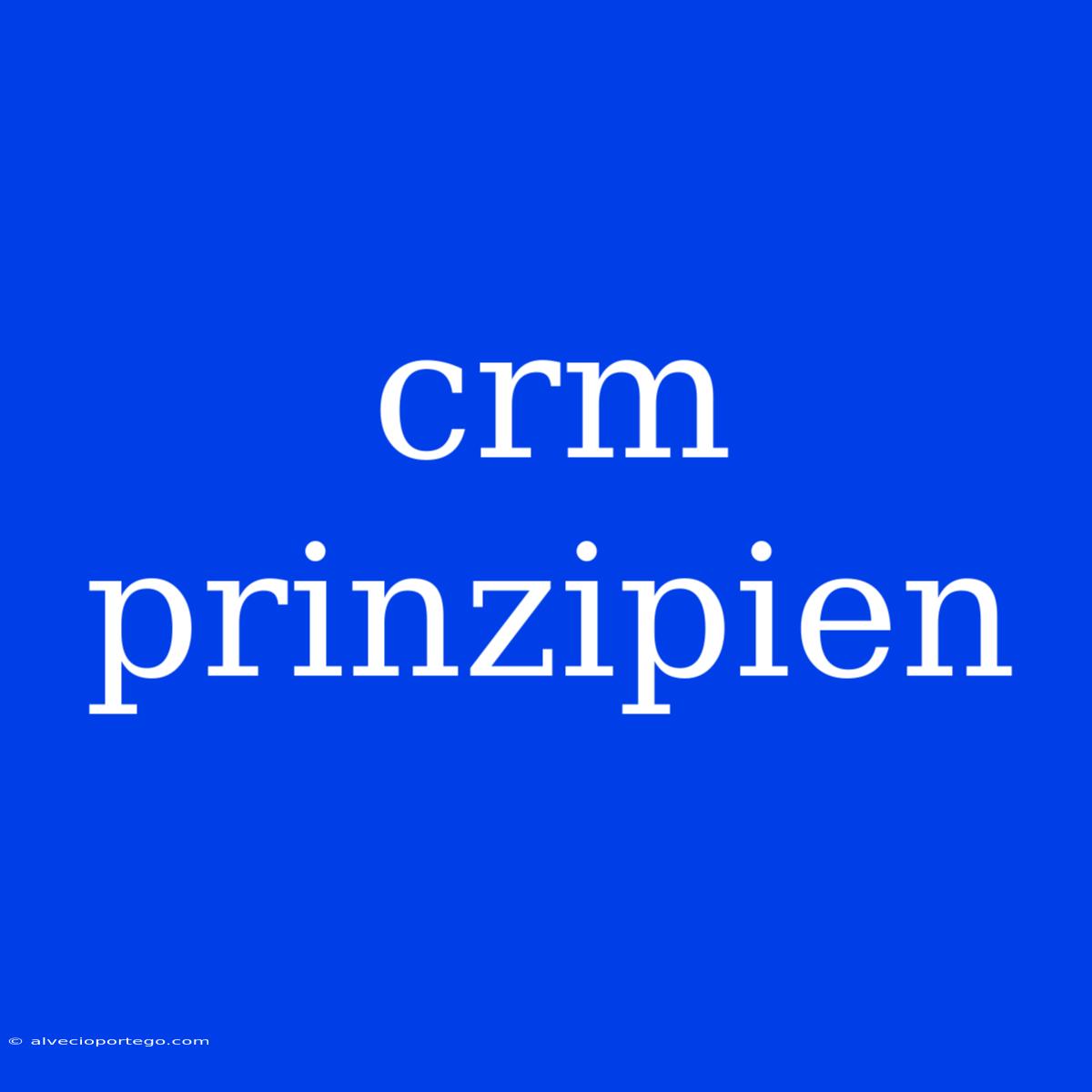 Crm Prinzipien