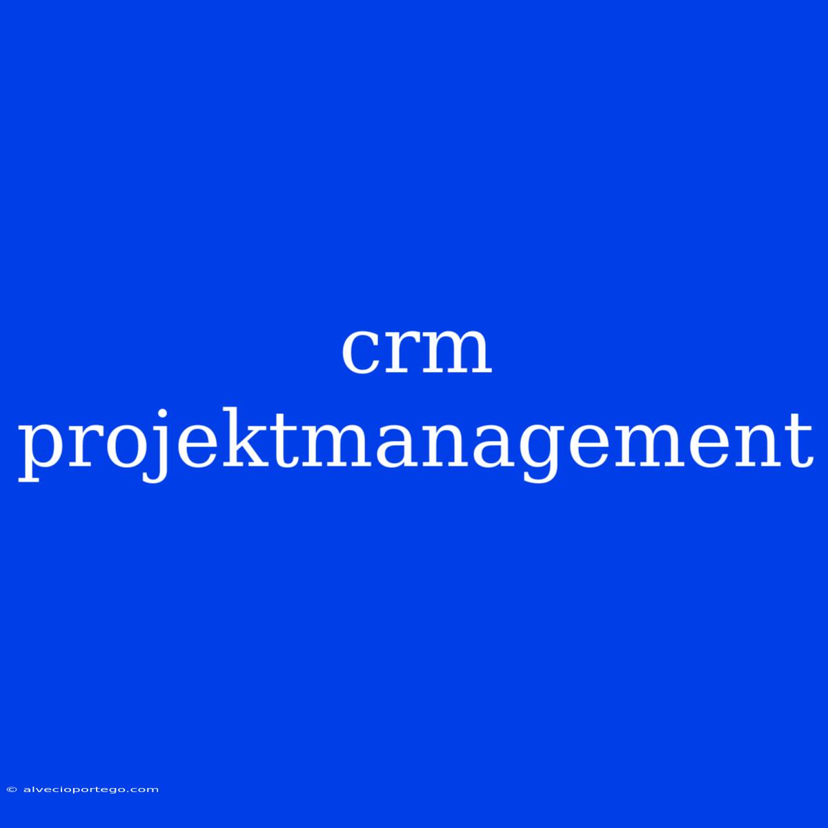 Crm Projektmanagement