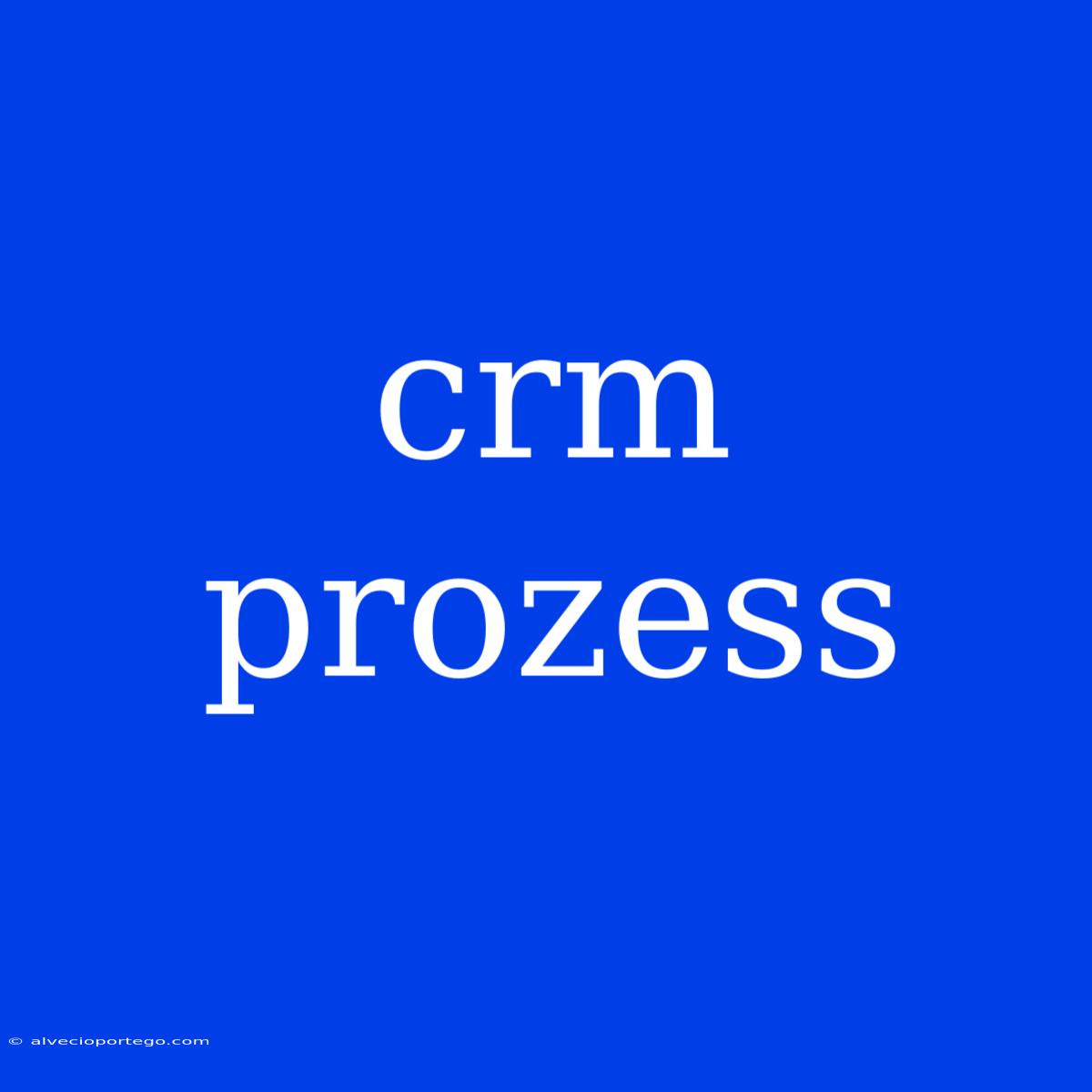 Crm Prozess