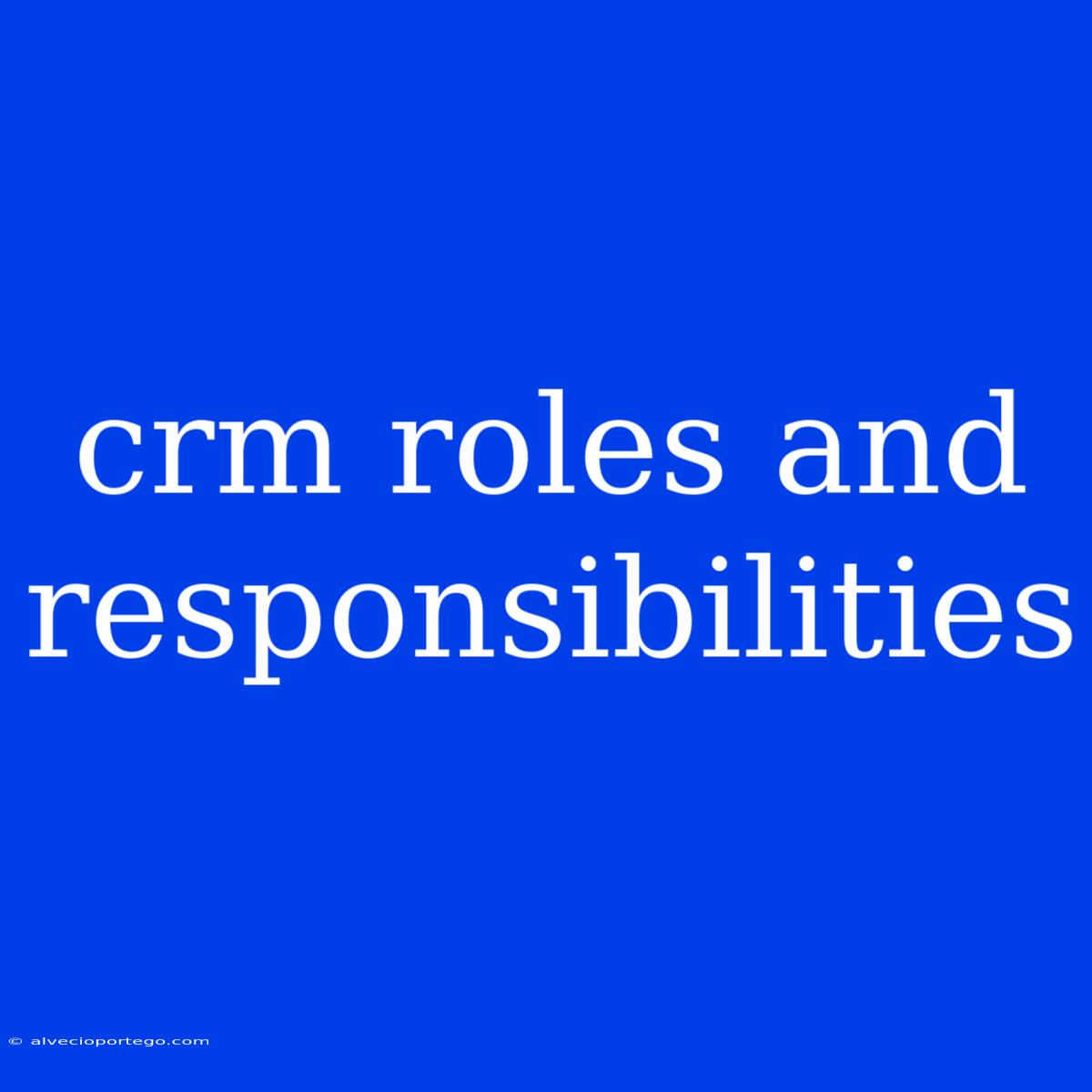 Crm Roles And Responsibilities