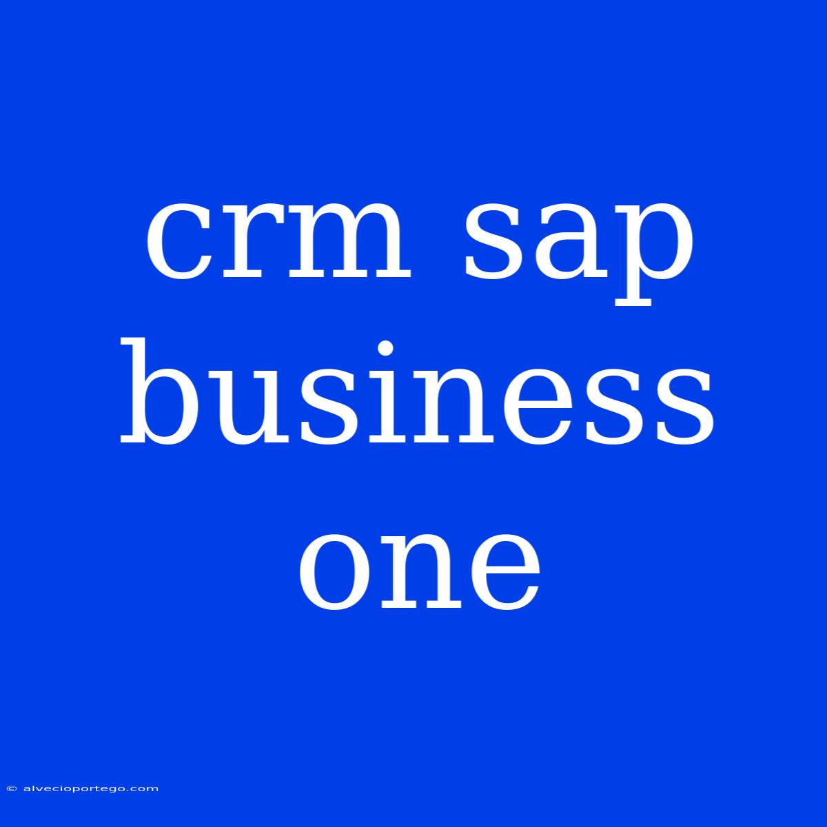 Crm Sap Business One