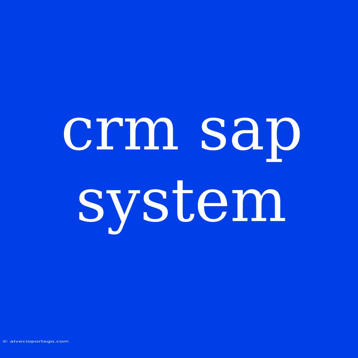 Crm Sap System