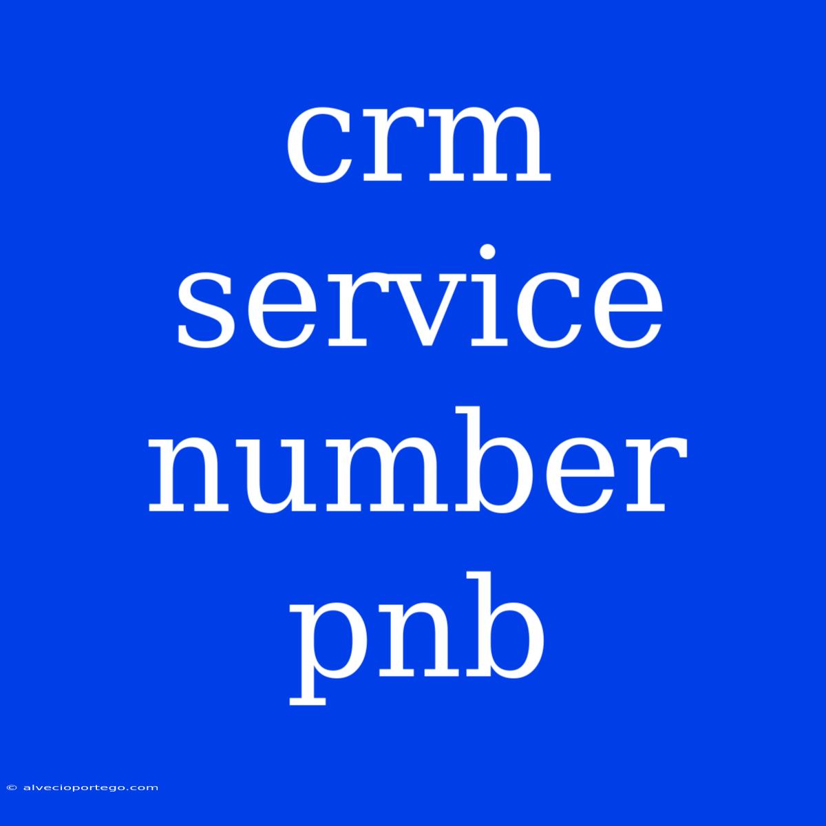 Crm Service Number Pnb