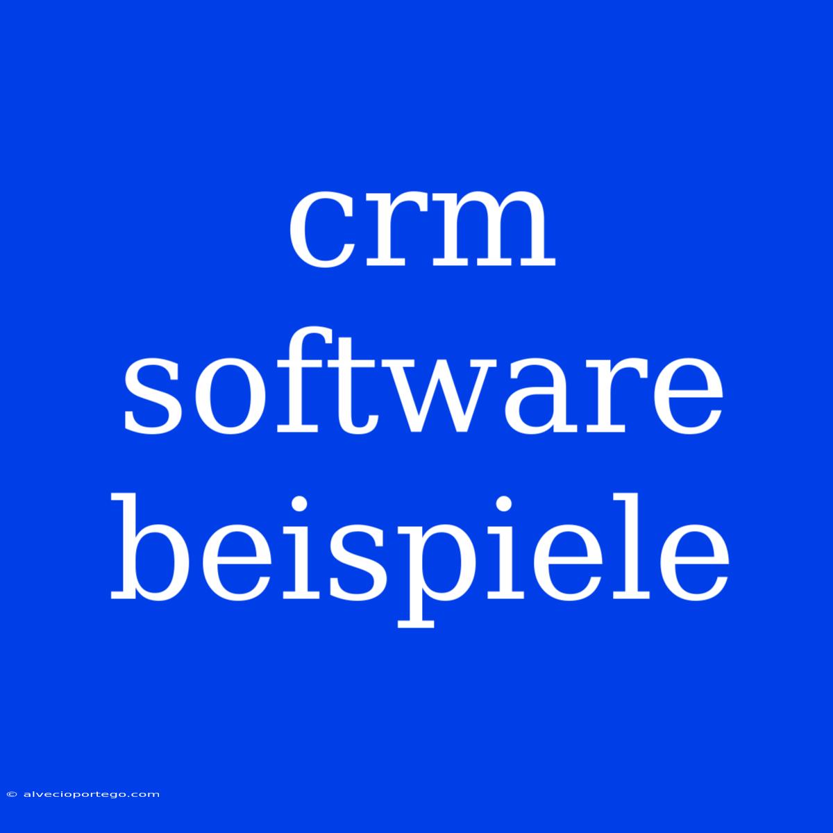 Crm Software Beispiele