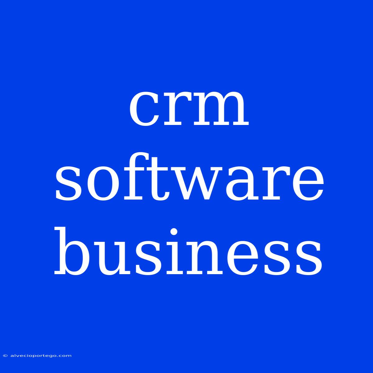 Crm Software Business