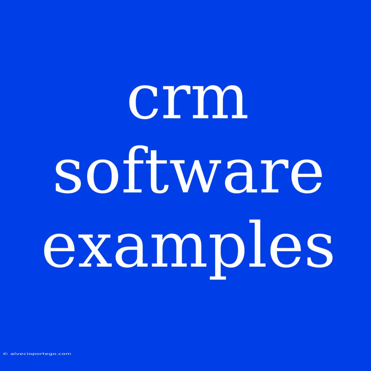 Crm Software Examples