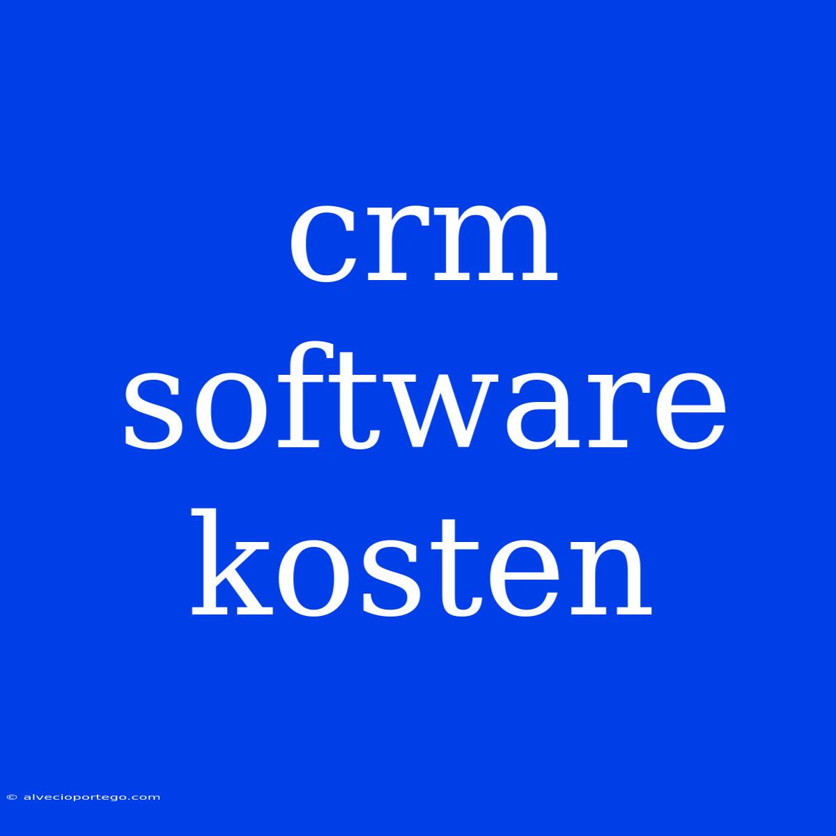 Crm Software Kosten