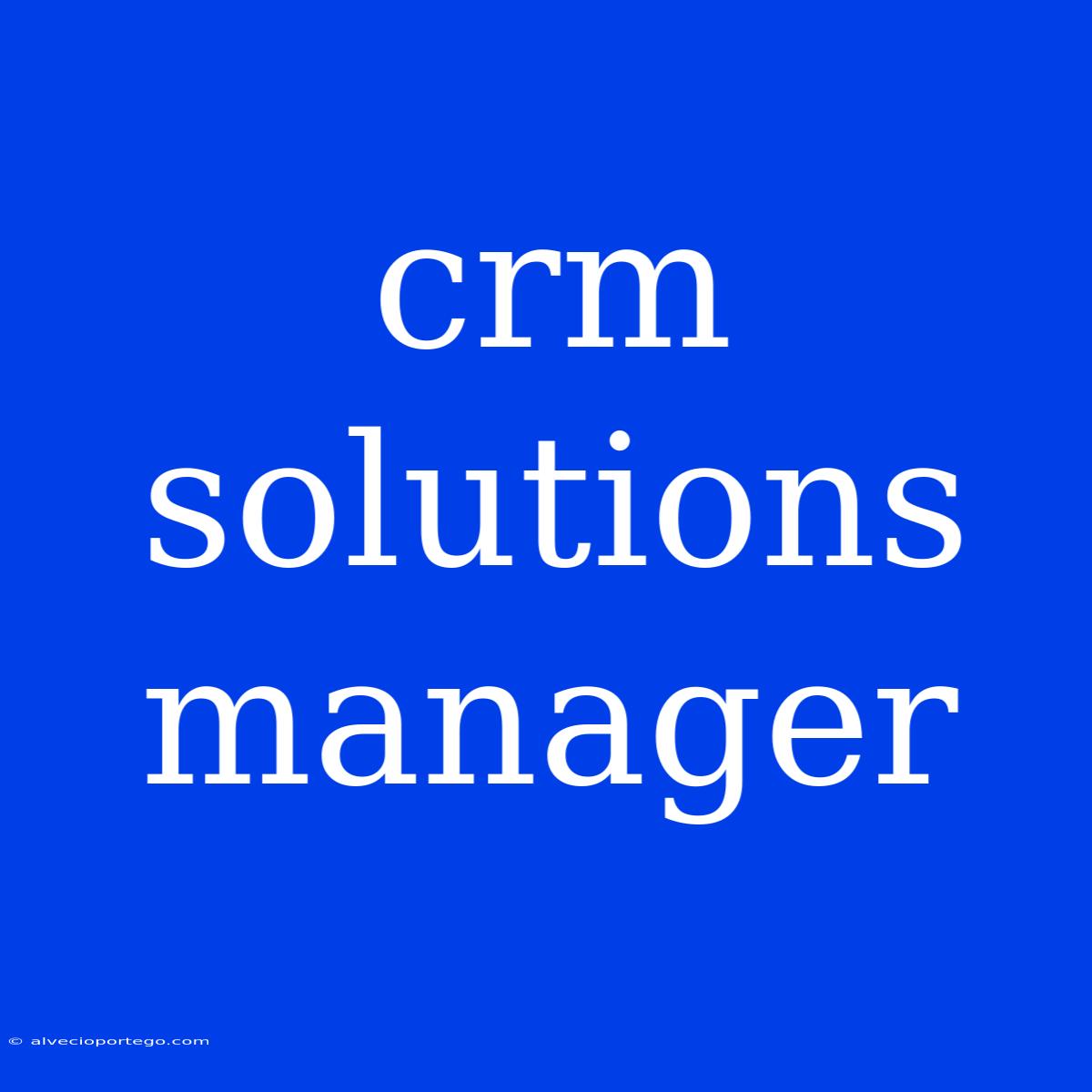 Crm Solutions Manager