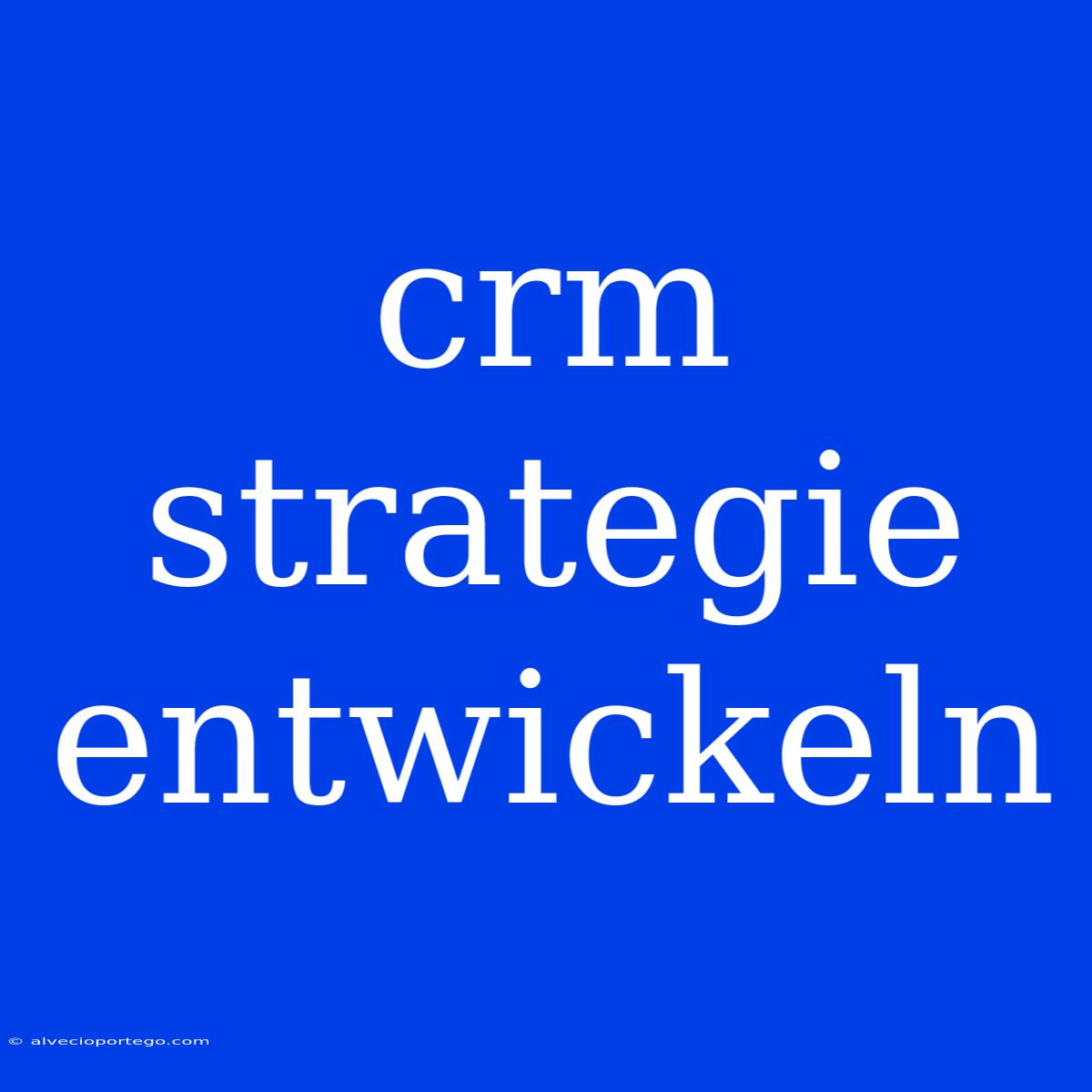 Crm Strategie Entwickeln