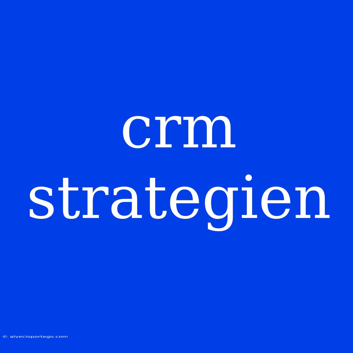 Crm Strategien