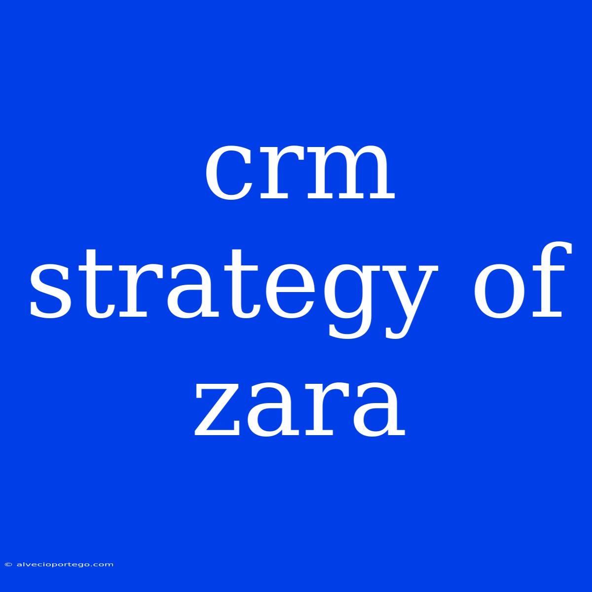 Crm Strategy Of Zara