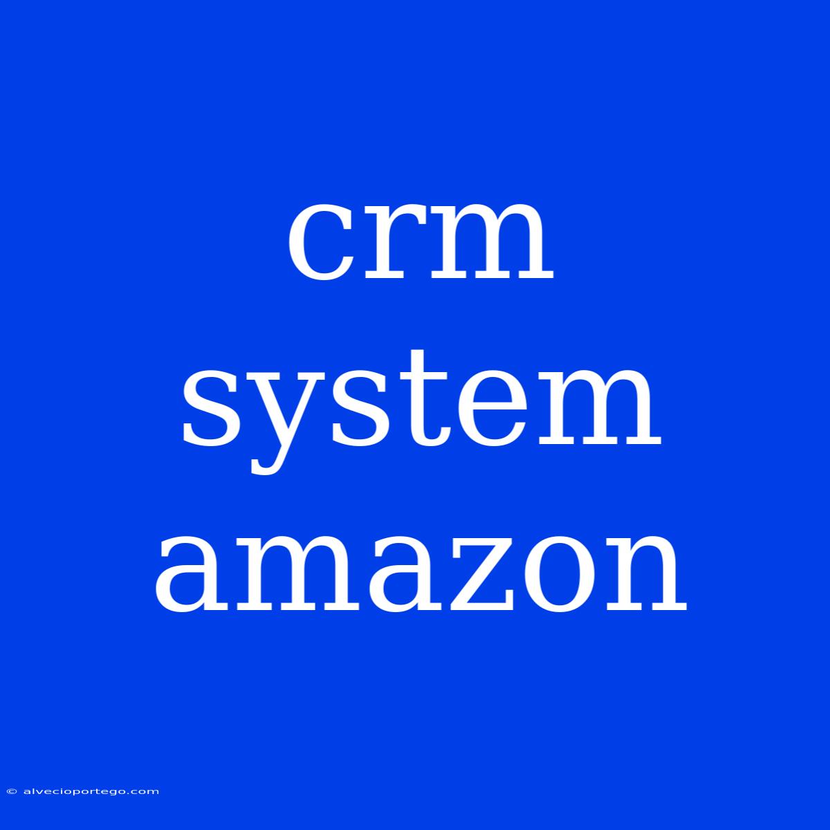 Crm System Amazon