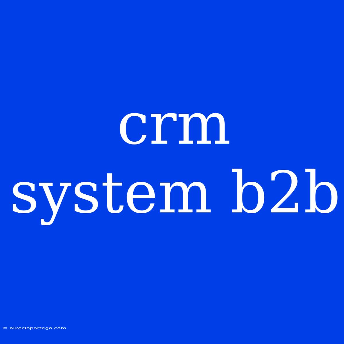 Crm System B2b