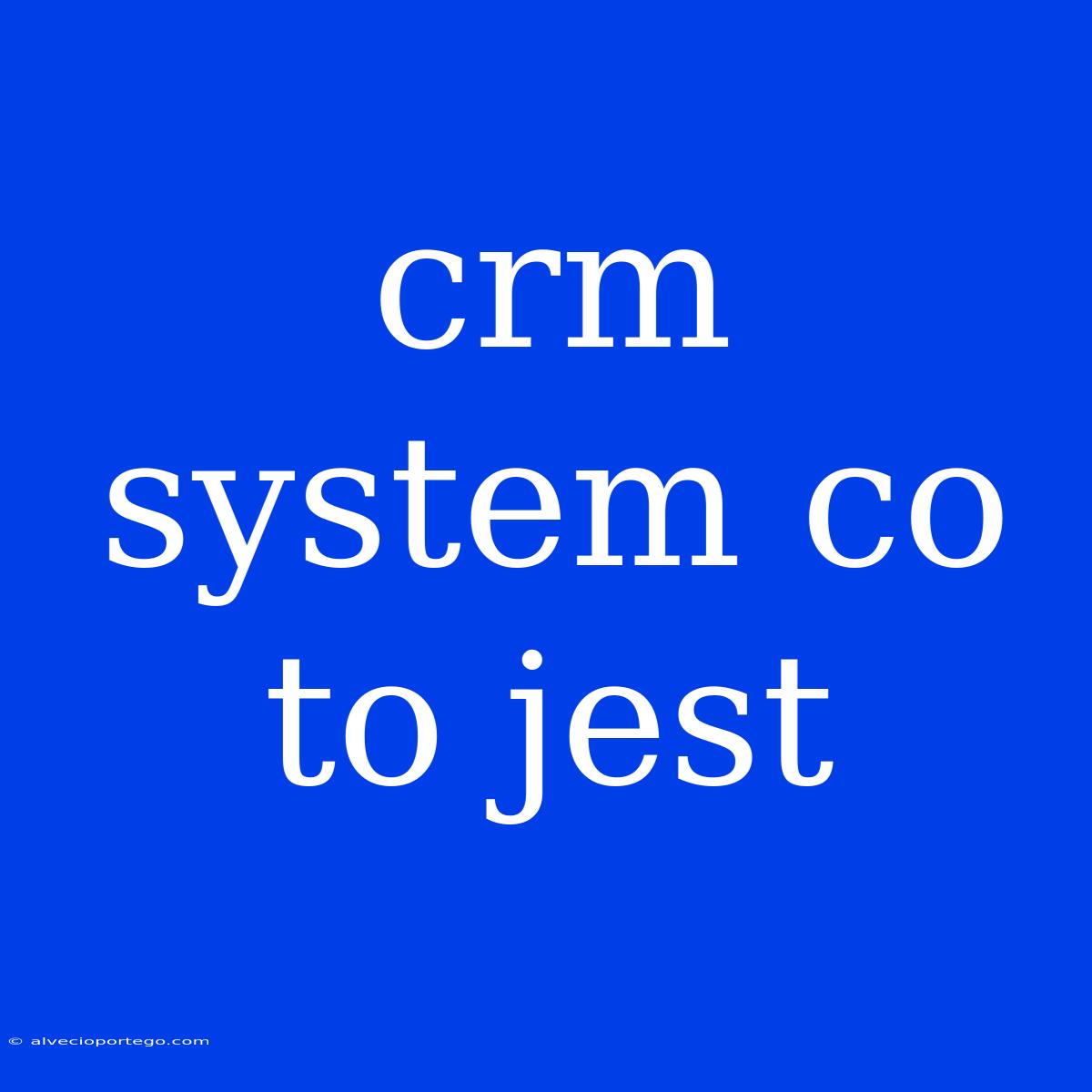 Crm System Co To Jest