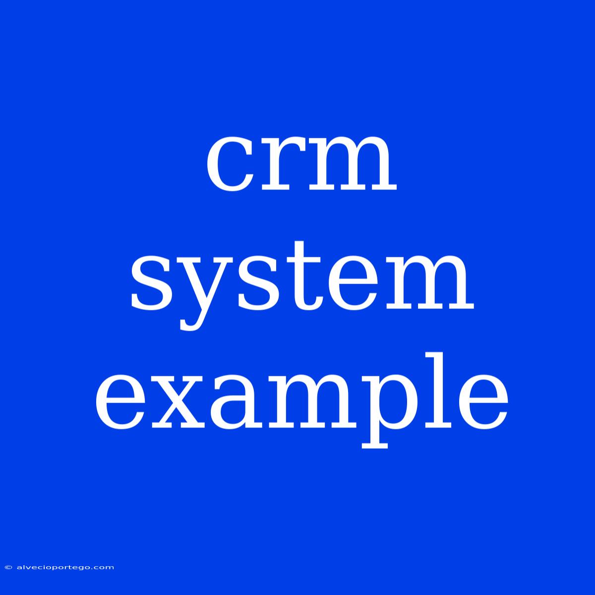 Crm System Example