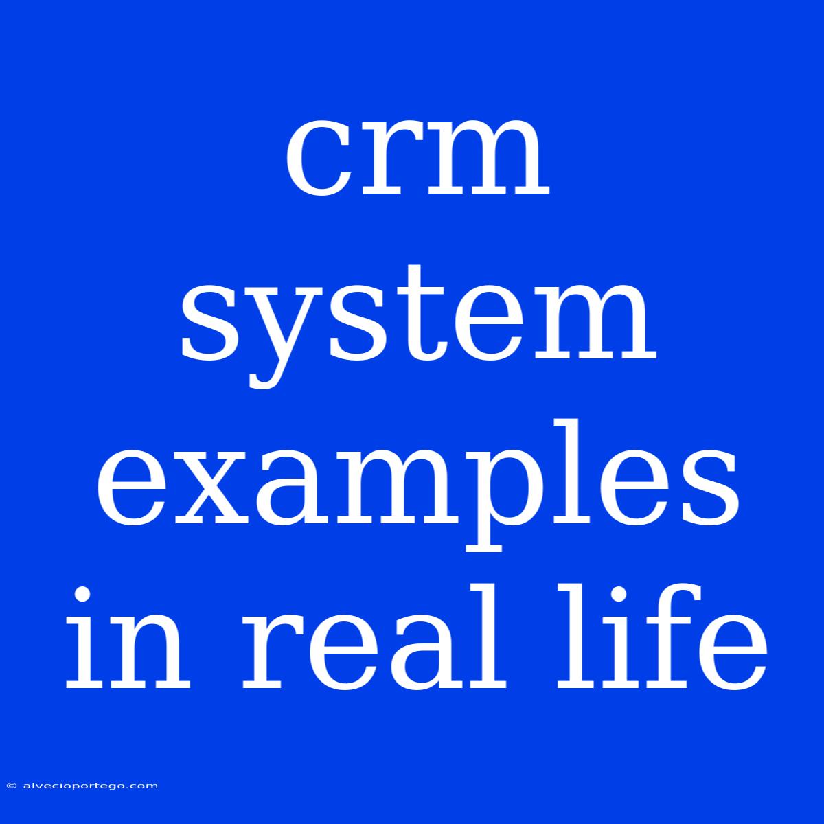 Crm System Examples In Real Life