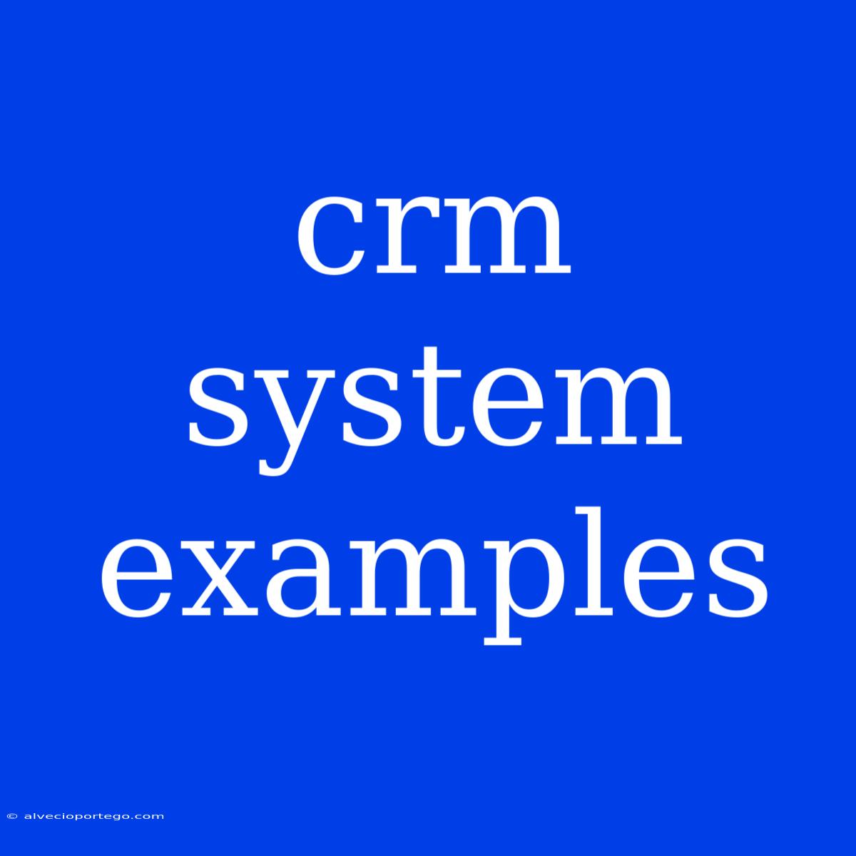 Crm System Examples