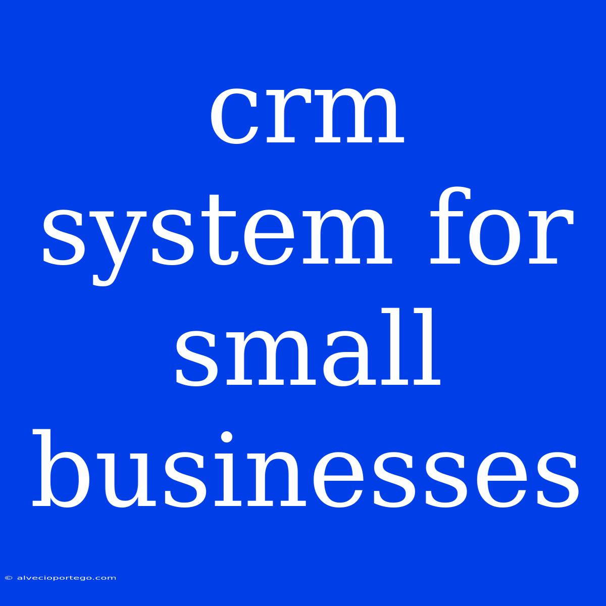 Crm System For Small Businesses