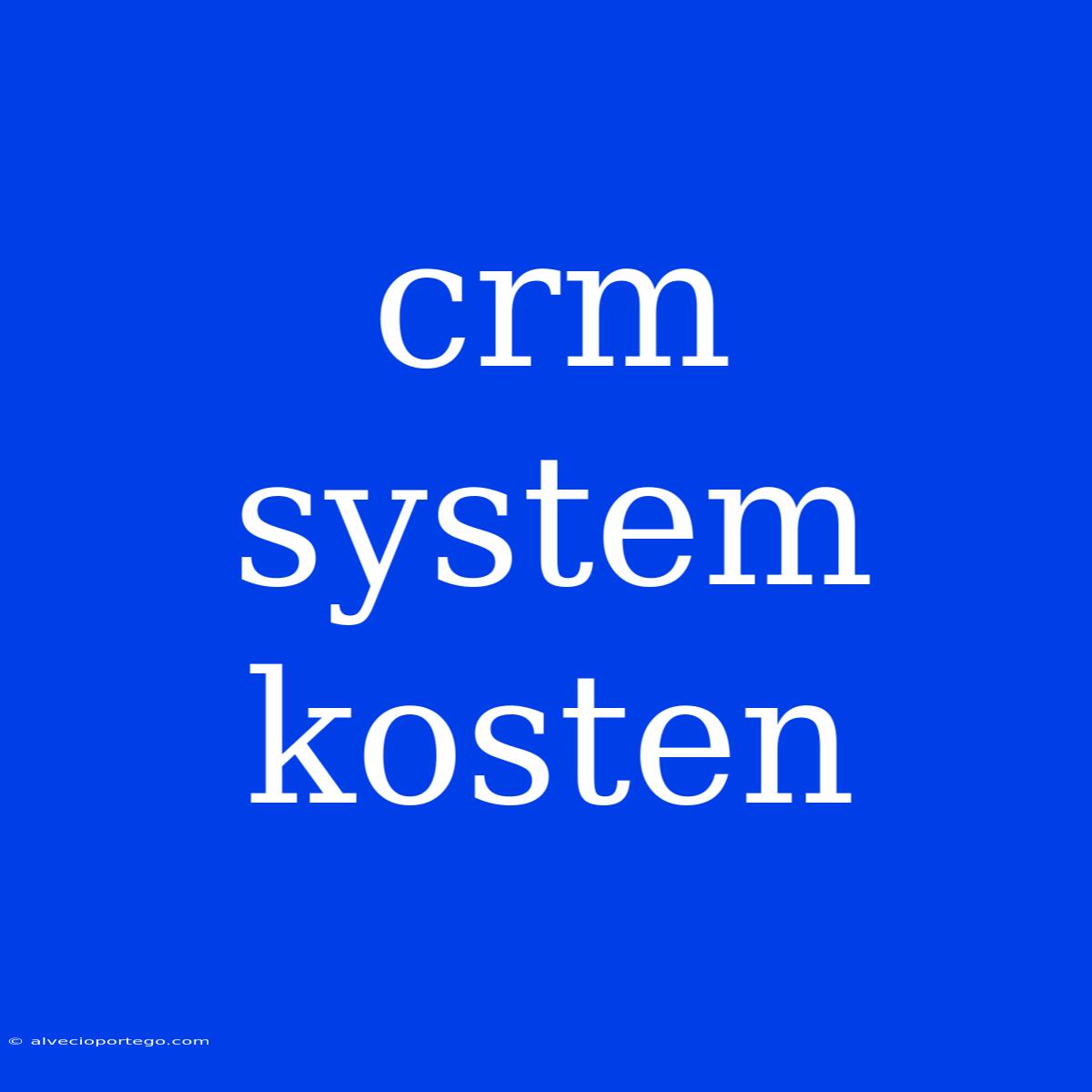 Crm System Kosten