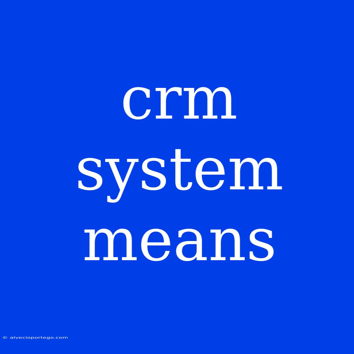 Crm System Means