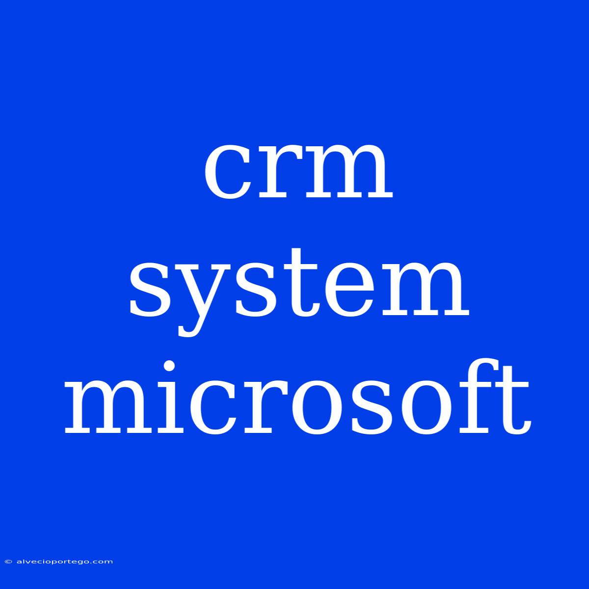 Crm System Microsoft