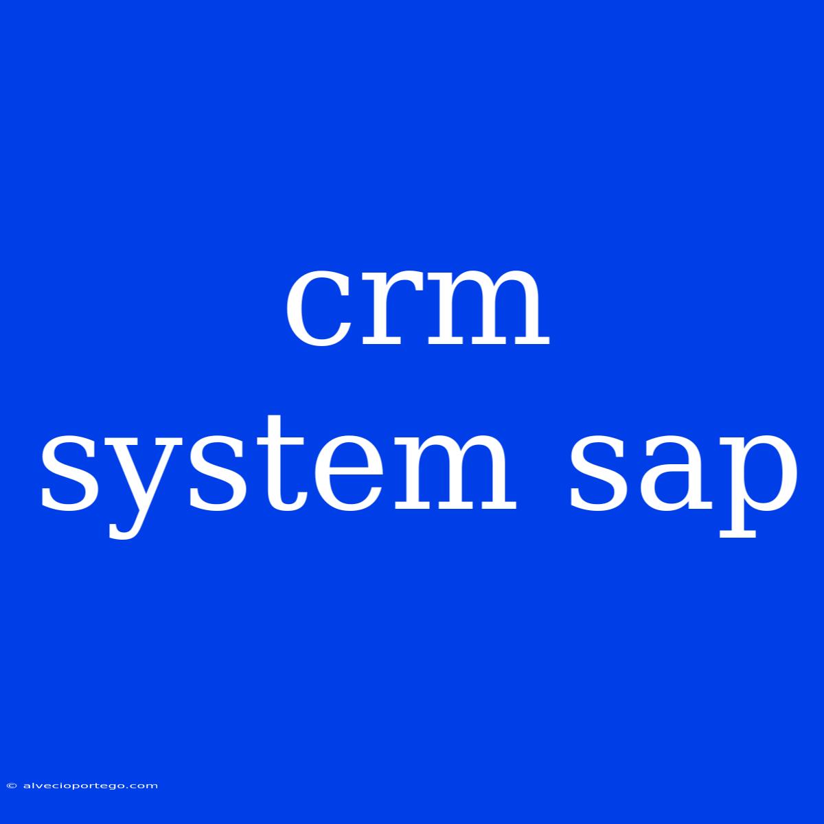 Crm System Sap