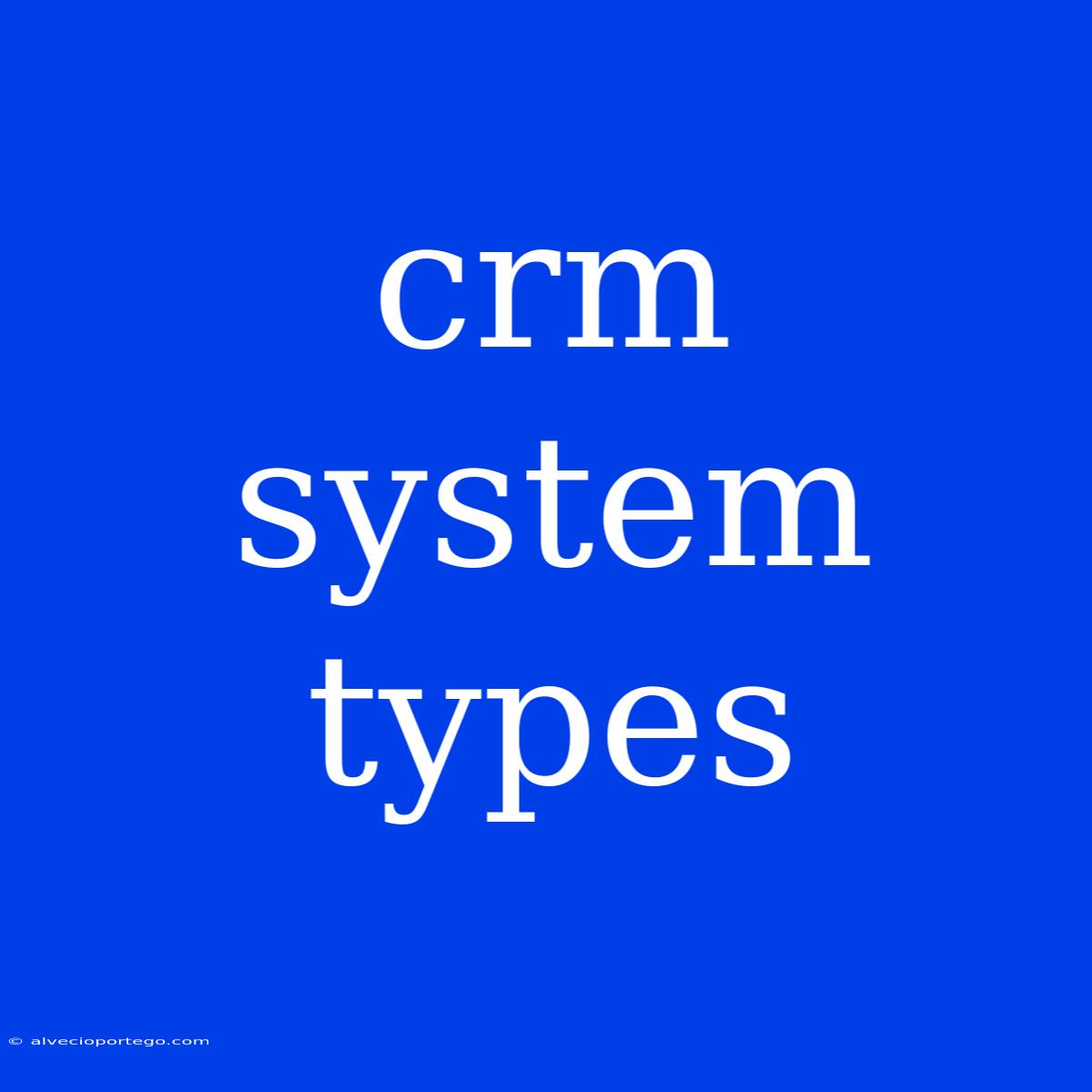 Crm System Types