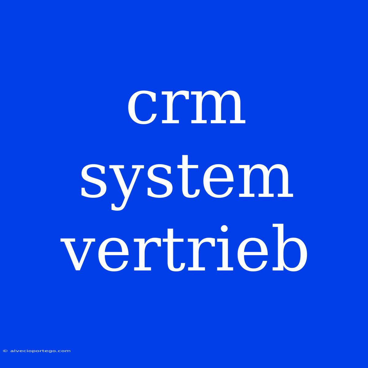 Crm System Vertrieb