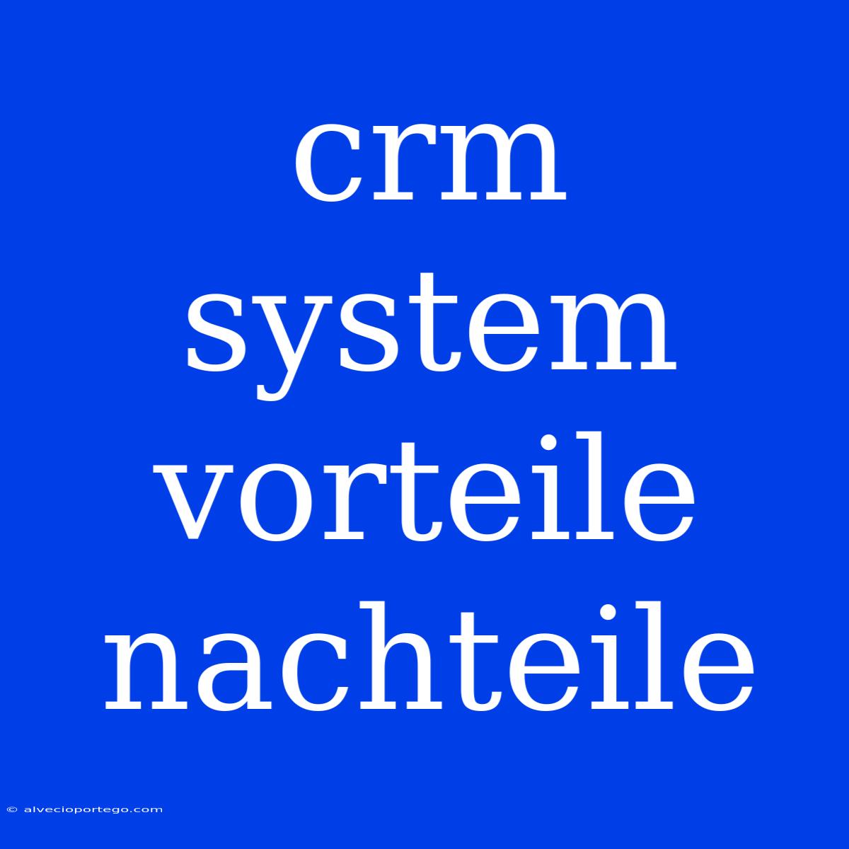 Crm System Vorteile Nachteile