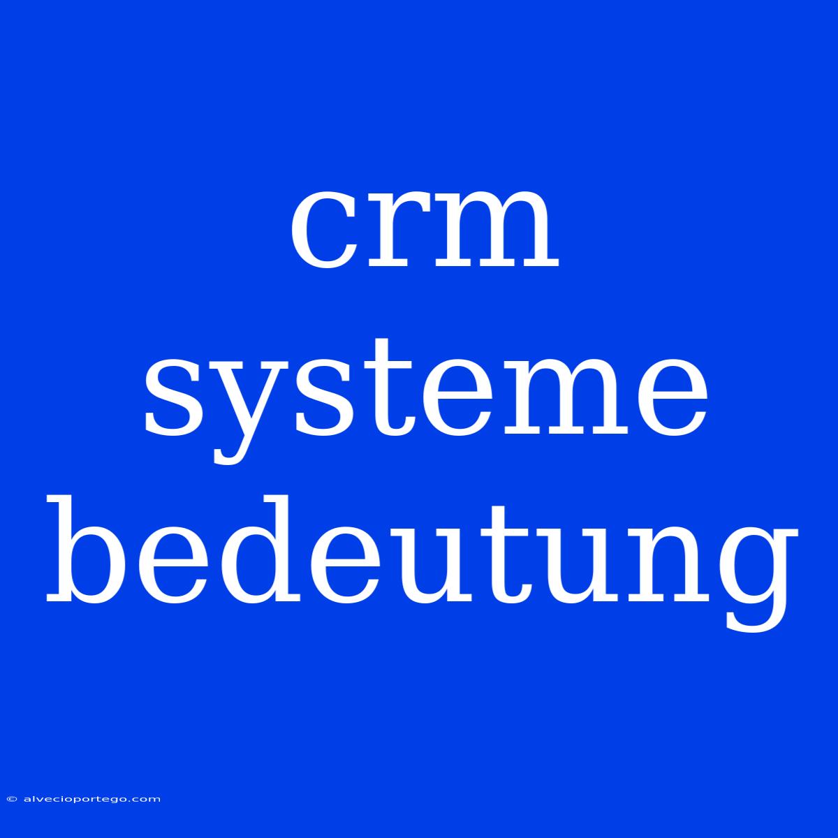 Crm Systeme Bedeutung