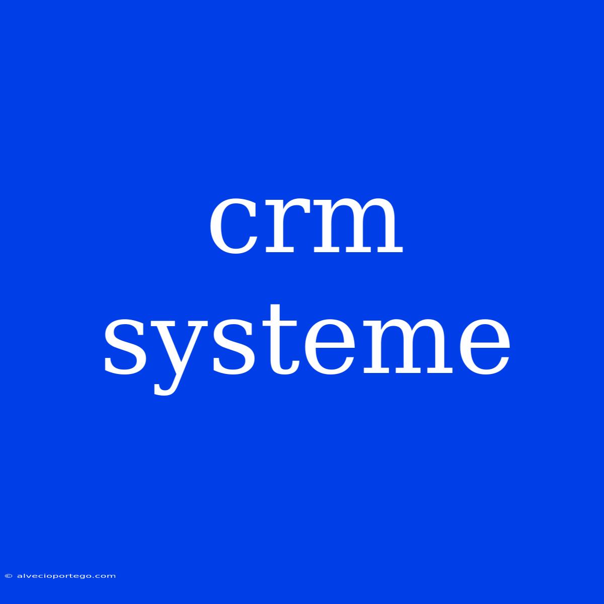 Crm Systeme