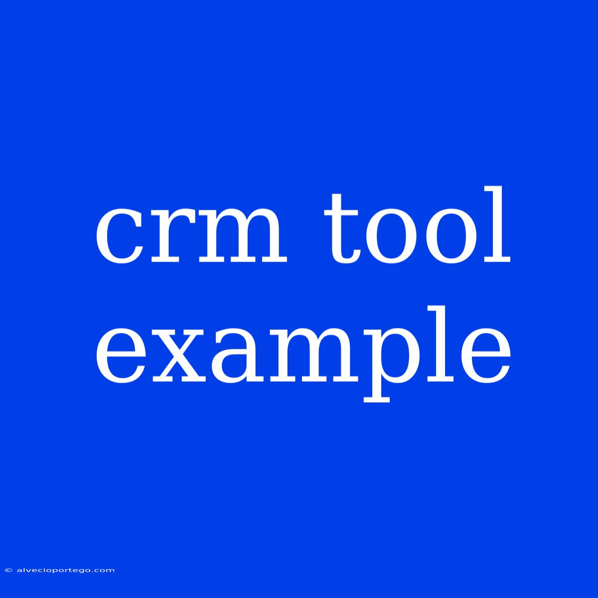 Crm Tool Example