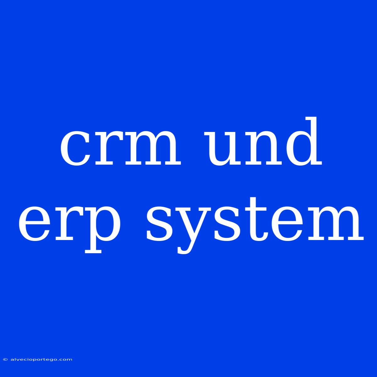 Crm Und Erp System