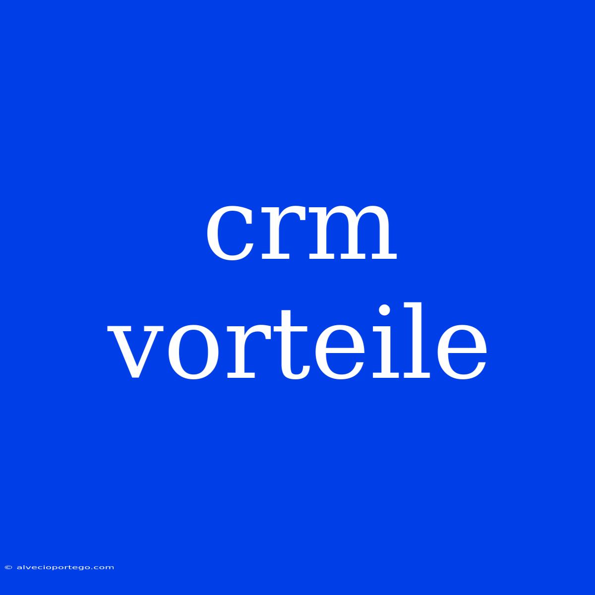 Crm Vorteile