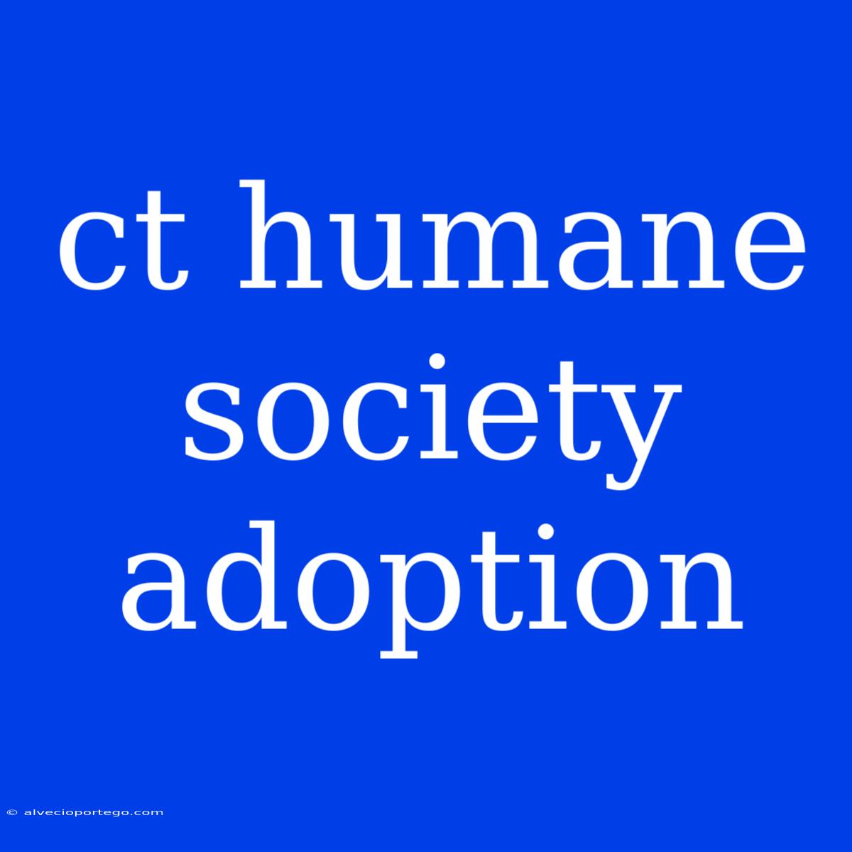 Ct Humane Society Adoption