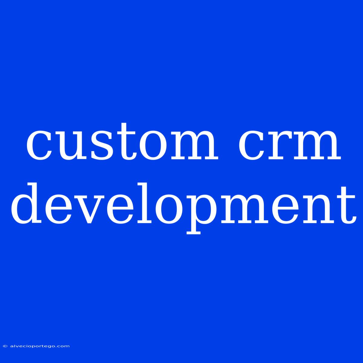 Custom Crm Development