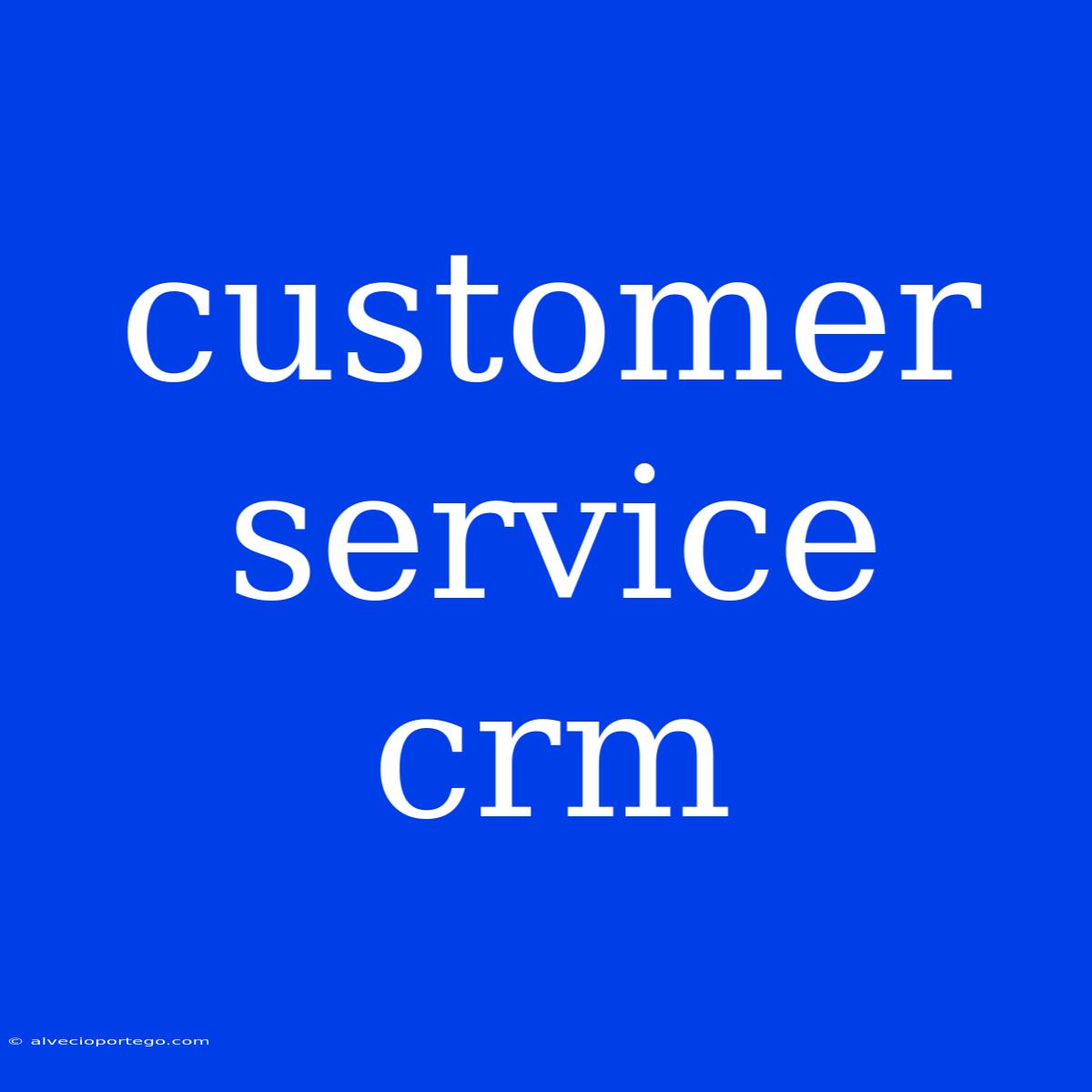 Customer Service Crm