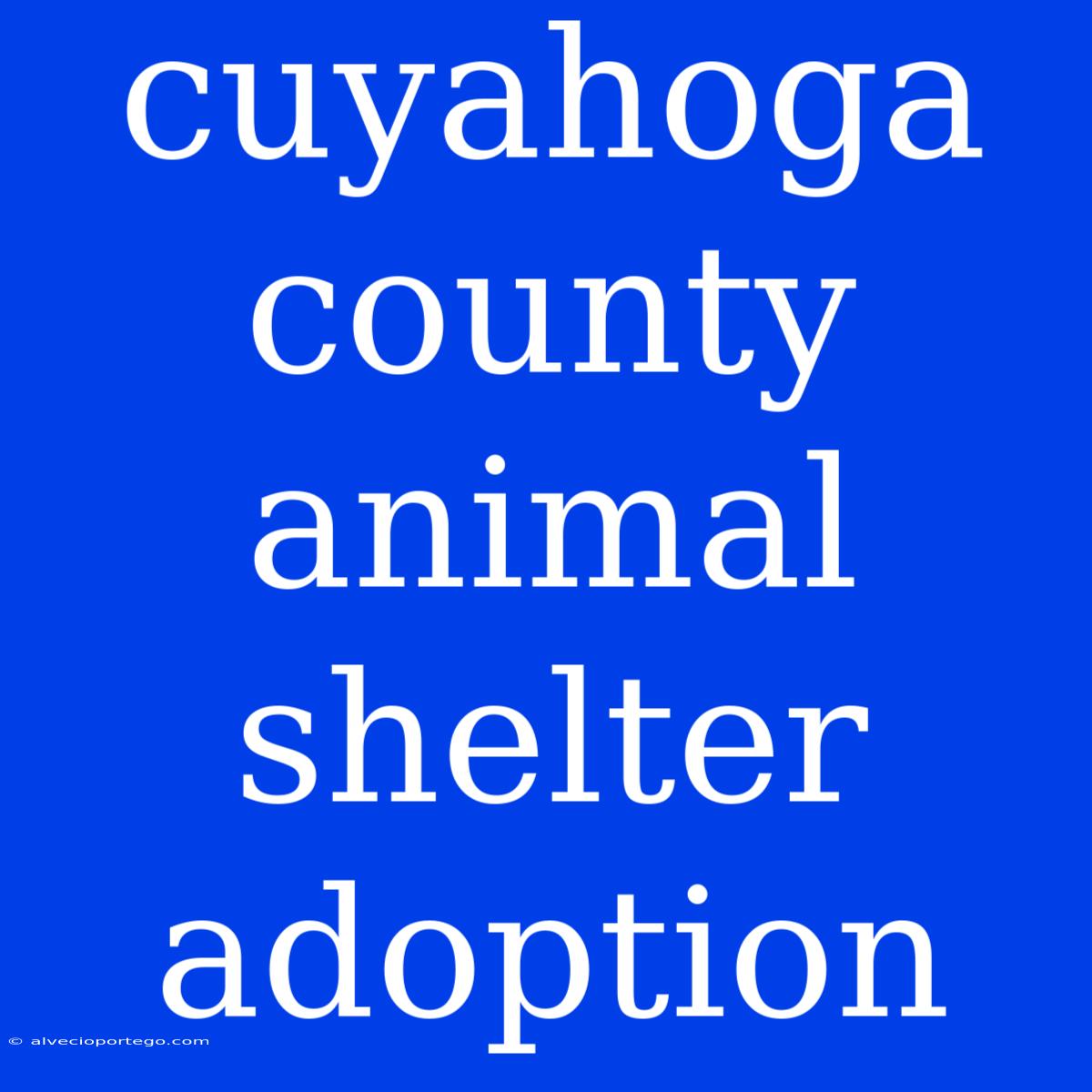 Cuyahoga County Animal Shelter Adoption