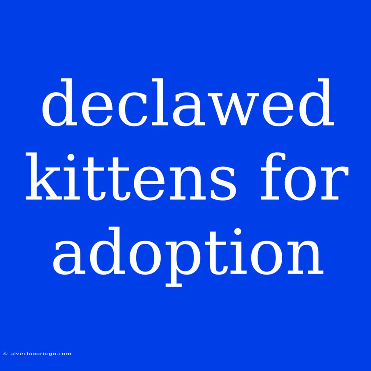 Declawed Kittens For Adoption