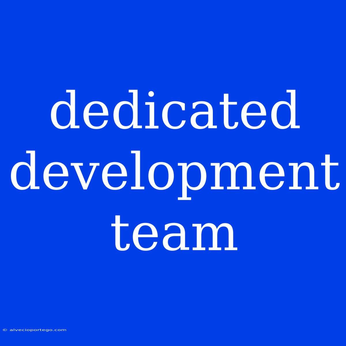 Dedicated Development Team