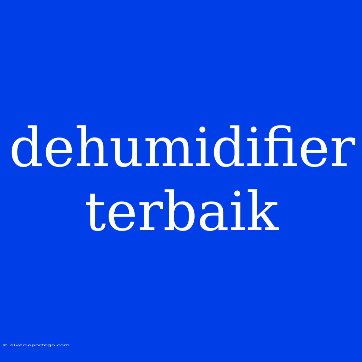 Dehumidifier Terbaik