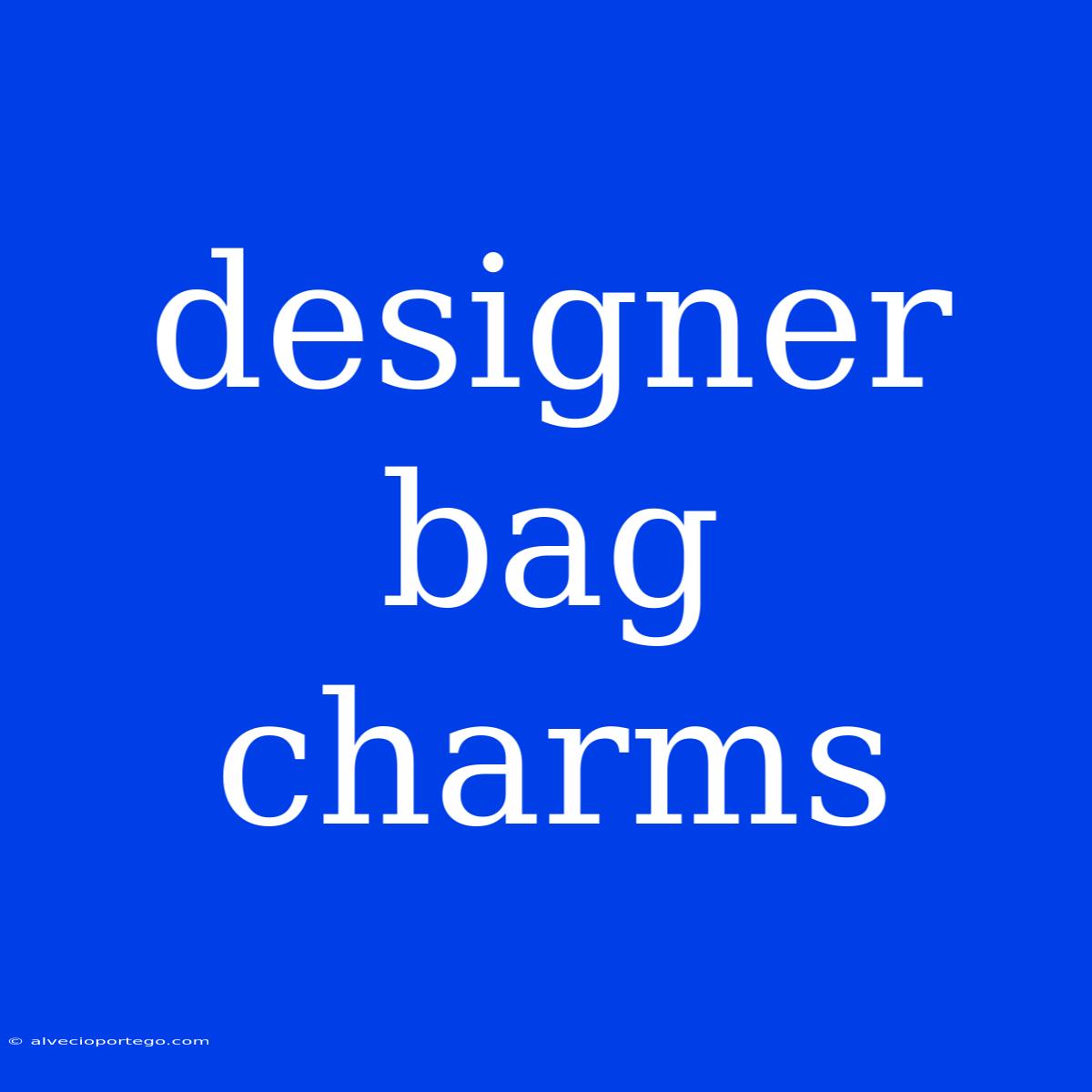 Designer Bag Charms