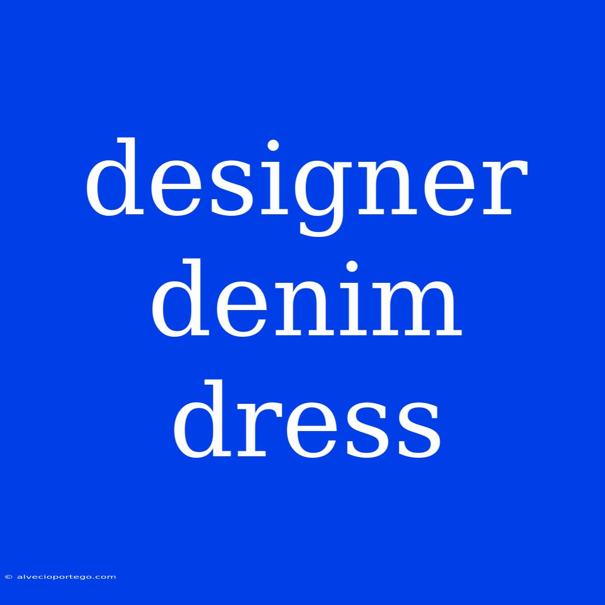 Designer Denim Dress