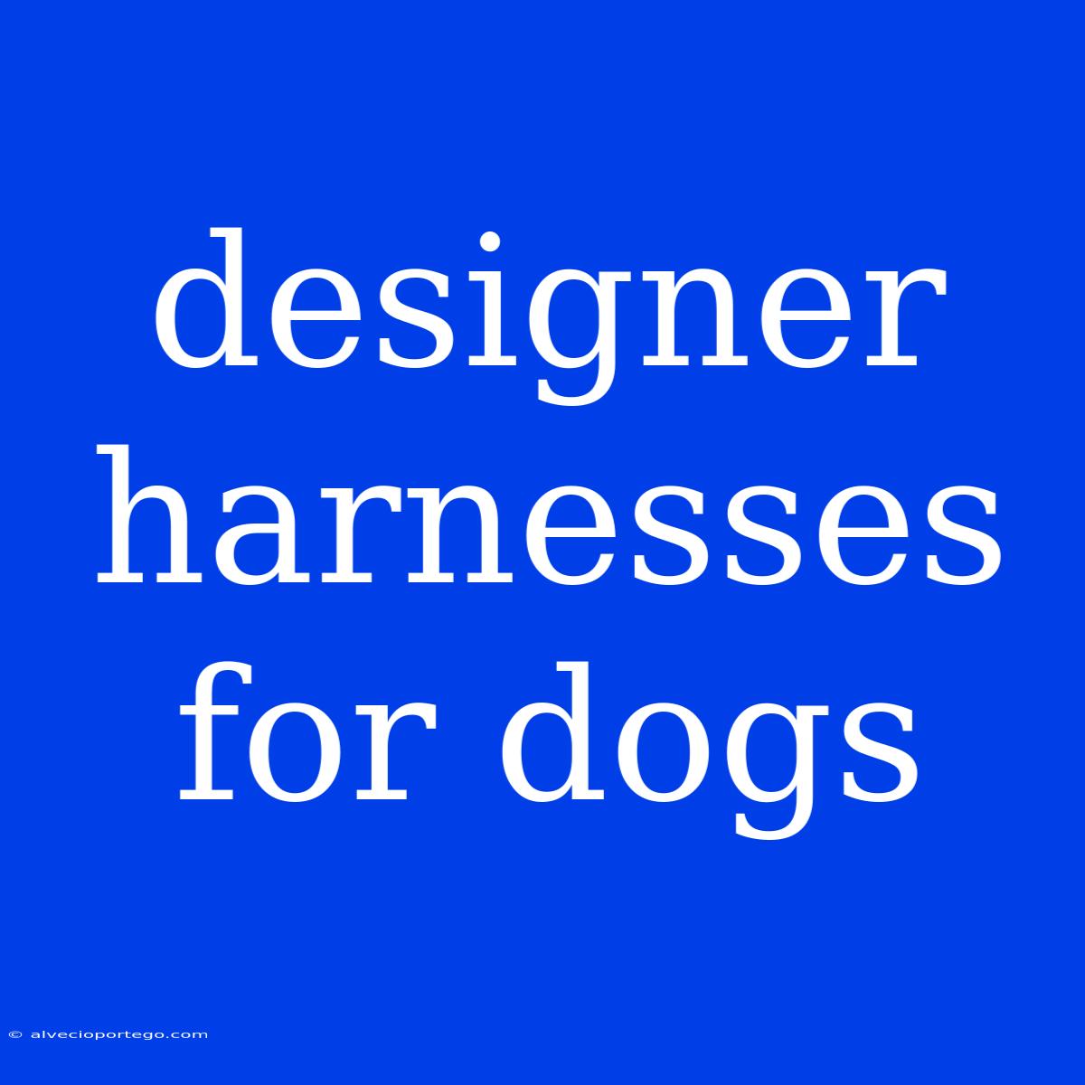 Designer Harnesses For Dogs