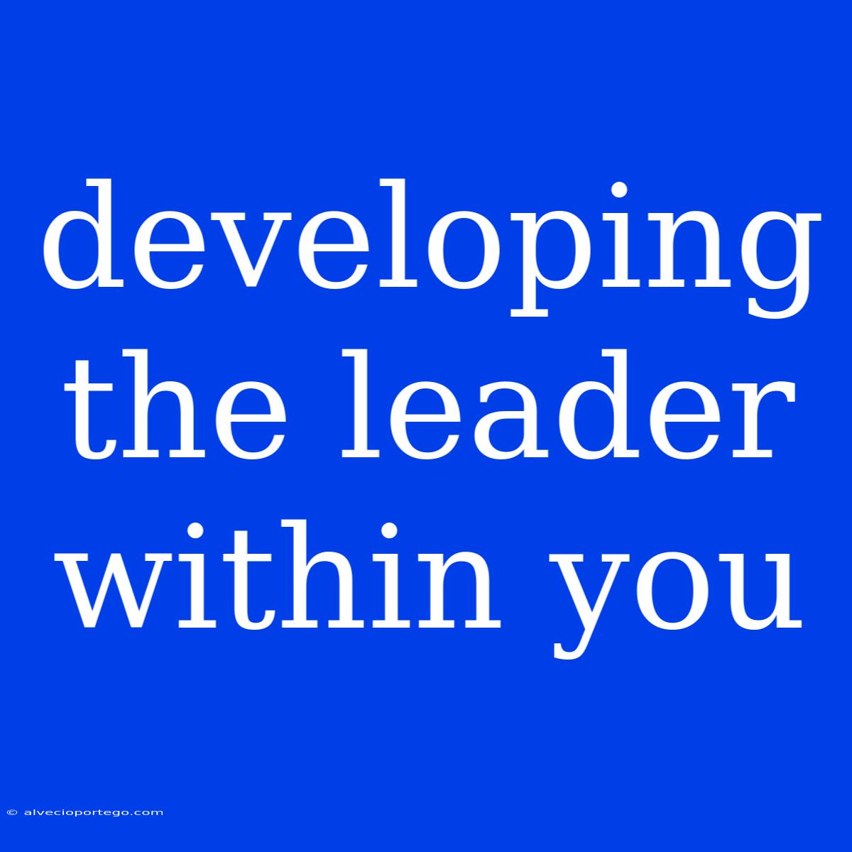 Developing The Leader Within You