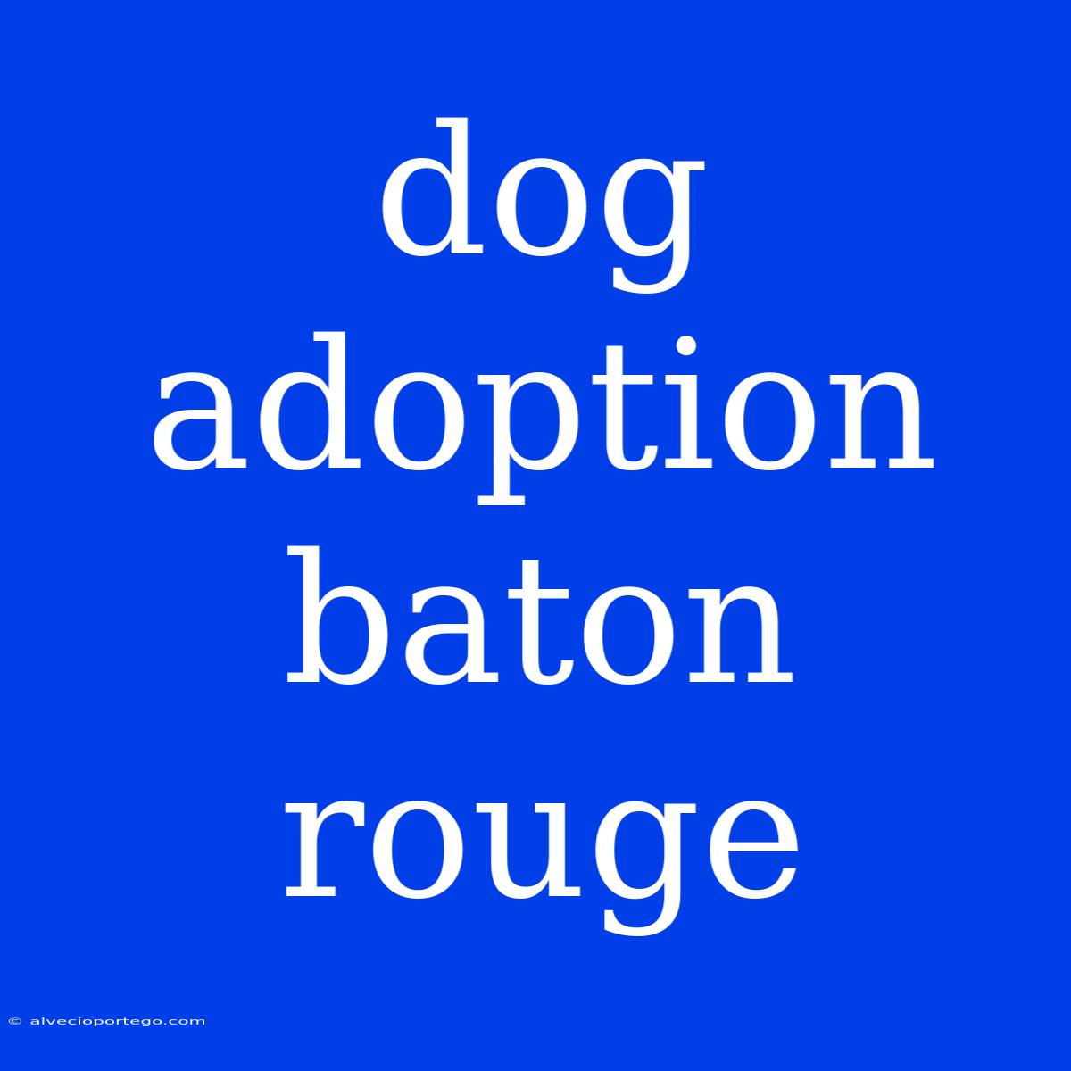 Dog Adoption Baton Rouge