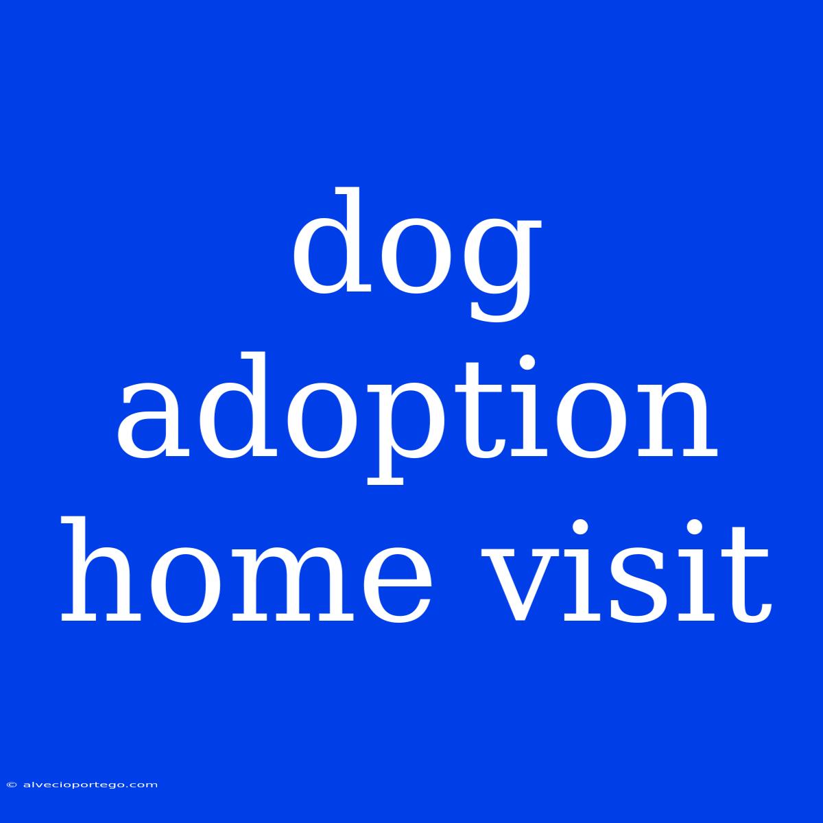 Dog Adoption Home Visit